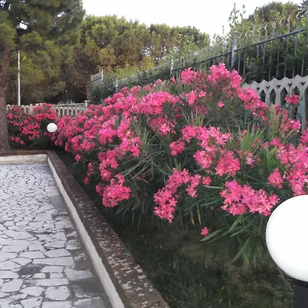 Patrizia's Maison * Ripatransone